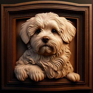 3D model Havana Bichon dog (STL)